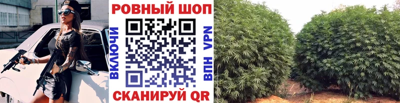 Где купить наркоту Яранск COCAIN Alpha PVP АМФ Меф ГАШ