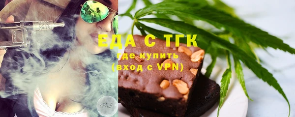 индика Богданович
