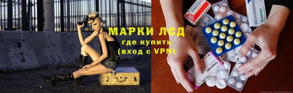 индика Богданович