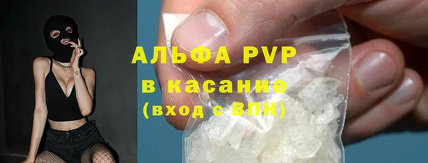 индика Богданович