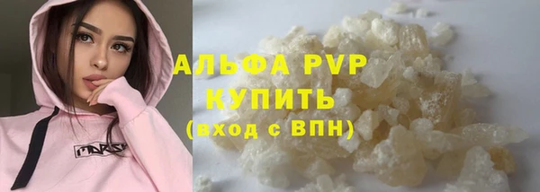 индика Богданович