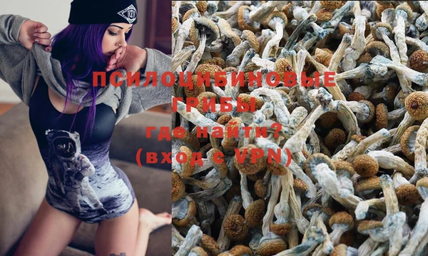 индика Богданович