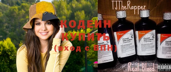 индика Богданович