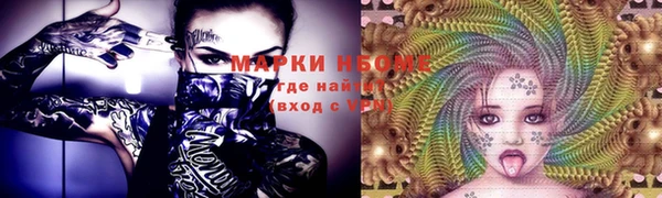индика Богданович