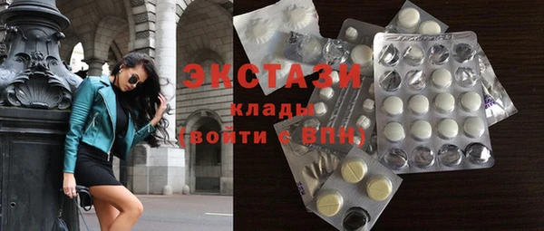 индика Богданович