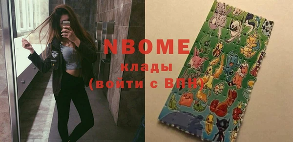 индика Богданович