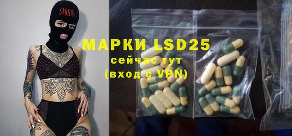 индика Богданович